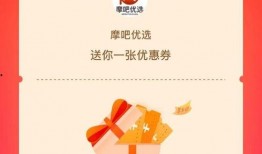 厦门24小时爆料新闻,风云变幻，热点速递